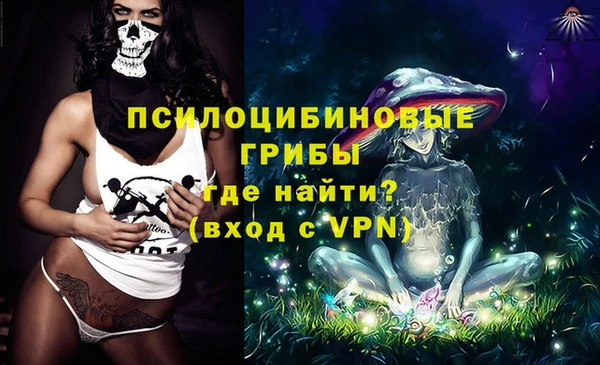 PSILOCYBIN Абинск