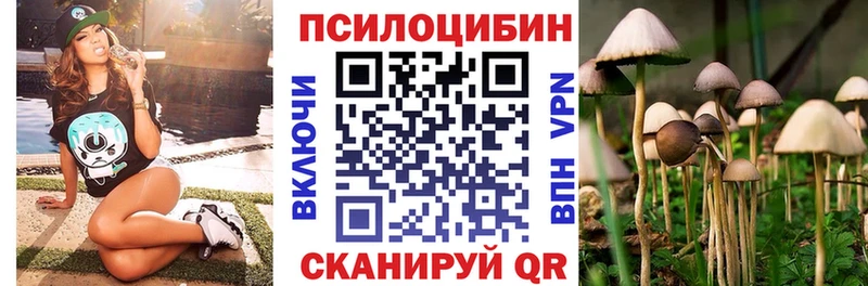 Галлюциногенные грибы MAGIC MUSHROOMS Жердевка